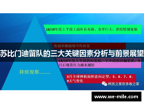 苏比门迪留队的三大关键因素分析与前景展望 苏比门迪留队的三大关键因素分析与前景展望