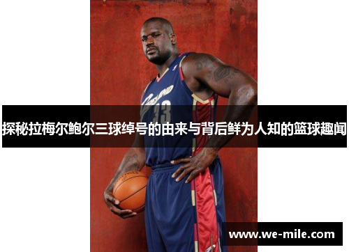 探秘拉梅尔鲍尔三球绰号的由来与背后鲜为人知的篮球趣闻 探秘拉梅尔鲍尔三球绰号的由来与背后鲜为人知的篮球趣闻